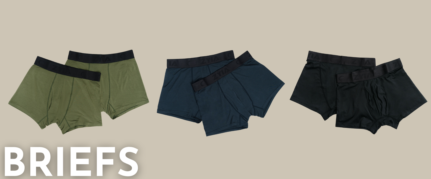 Briefs